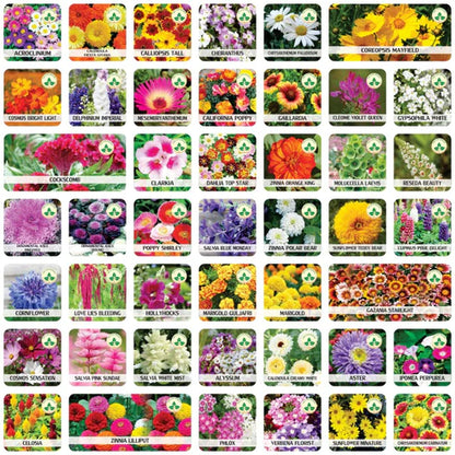 Premium Flower seeds (Pack of 100) And Get Plant Growth Supplement Free